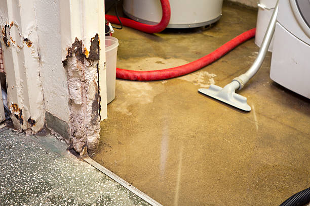 emergency basement leak repair company Gilbert, SC