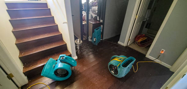 water damage cleanup Gilbert, SC